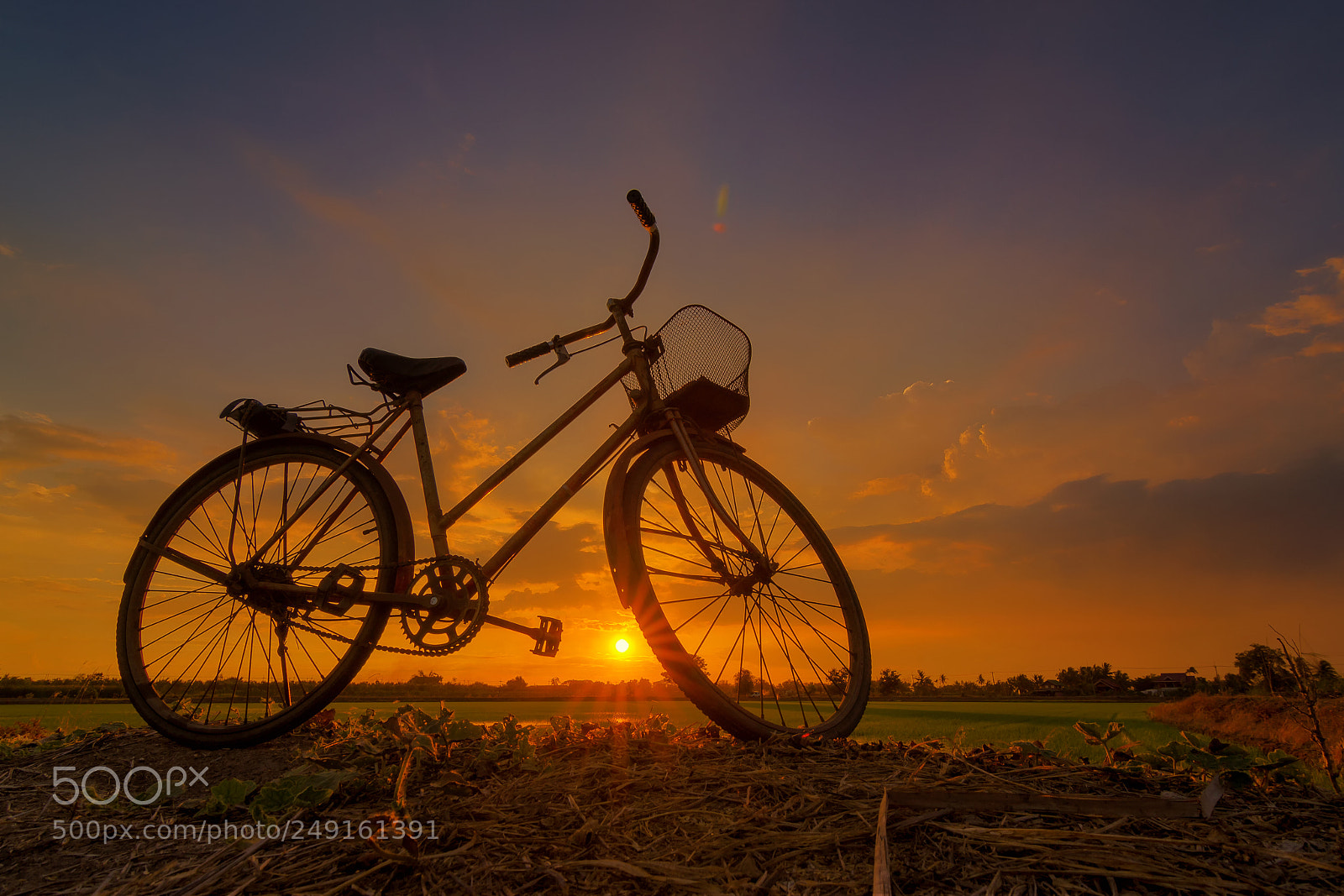 Canon EOS 7D sample photo. Beautiful bicycles silhouettel sunset photography