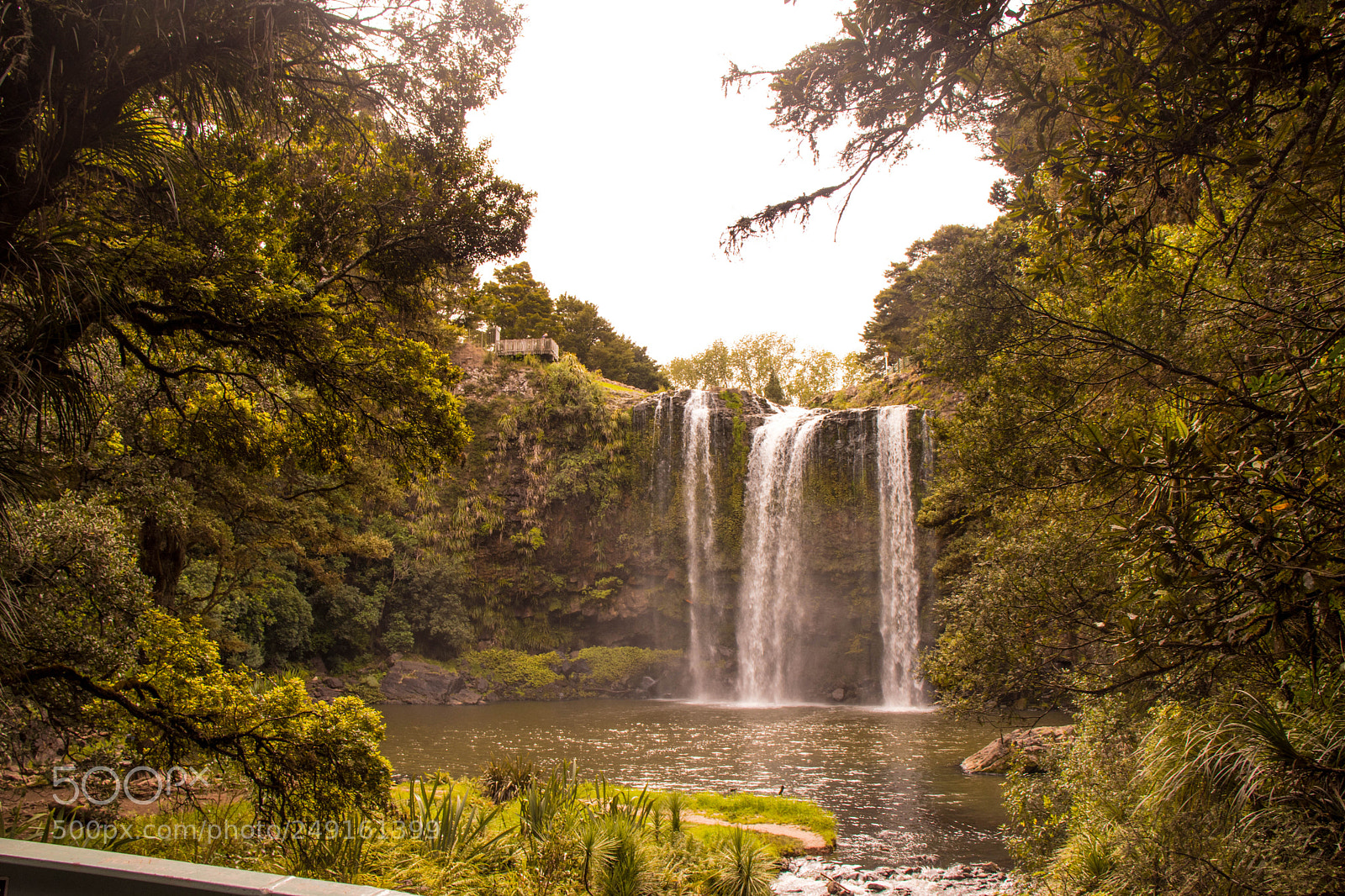 Canon EOS 800D (EOS Rebel T7i / EOS Kiss X9i) sample photo. Whangarei falls photography