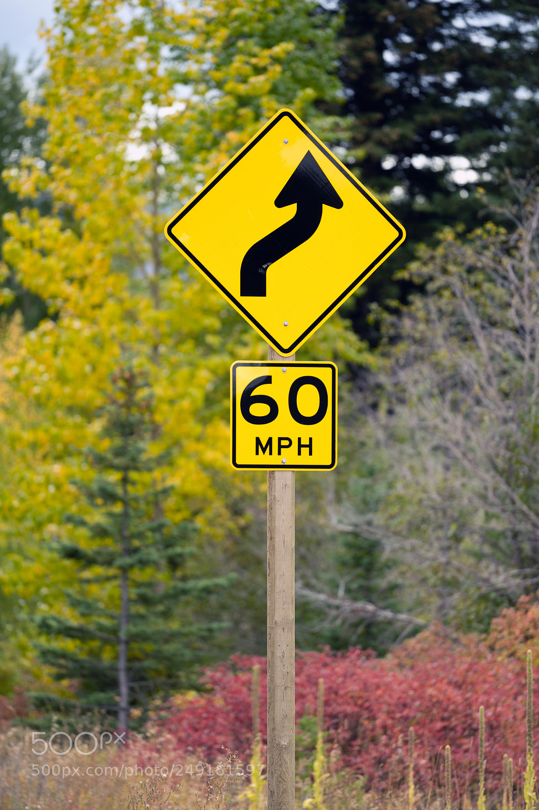 Sony a7 sample photo. Curve ahead highway sign photography