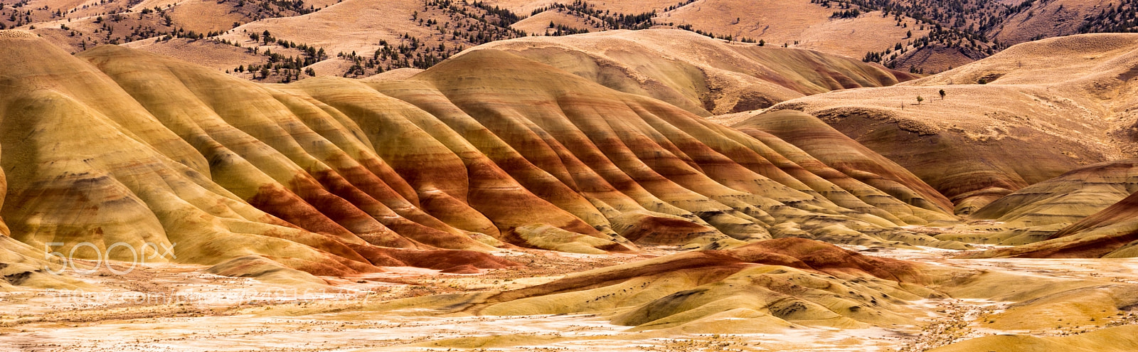 Sony a7 sample photo. Painted hills fossil beds photography