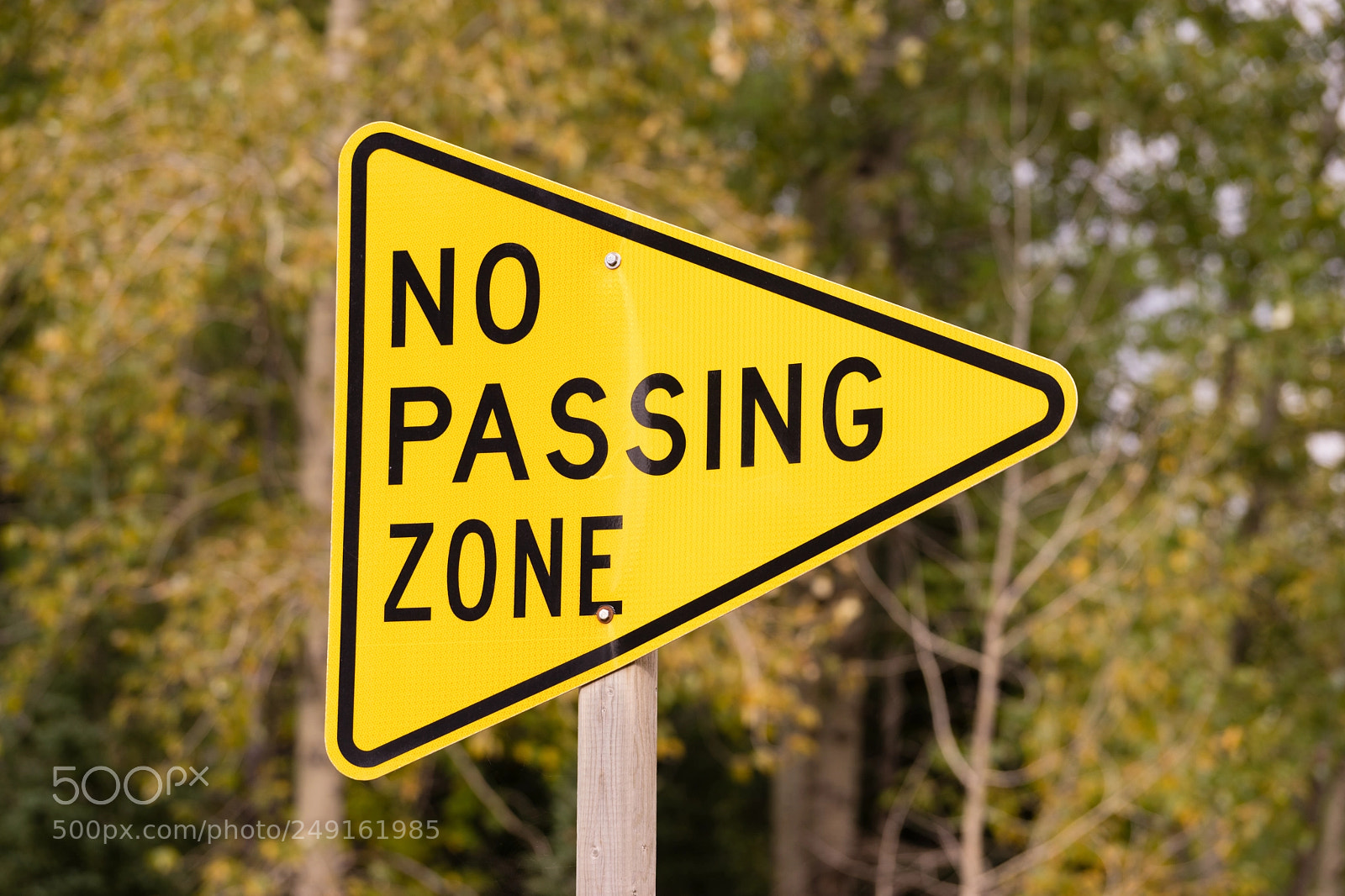 Sony a7 sample photo. Yellow triangle road sign photography