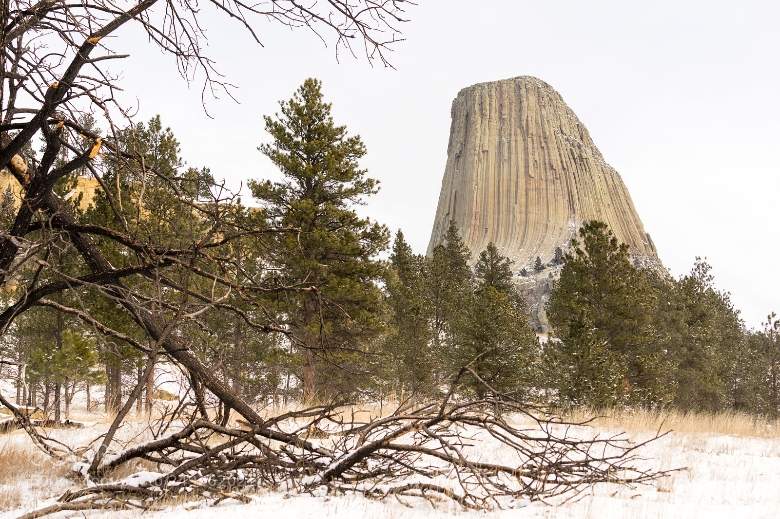 Sony a7 sample photo. Devils tower wyoming winter photography