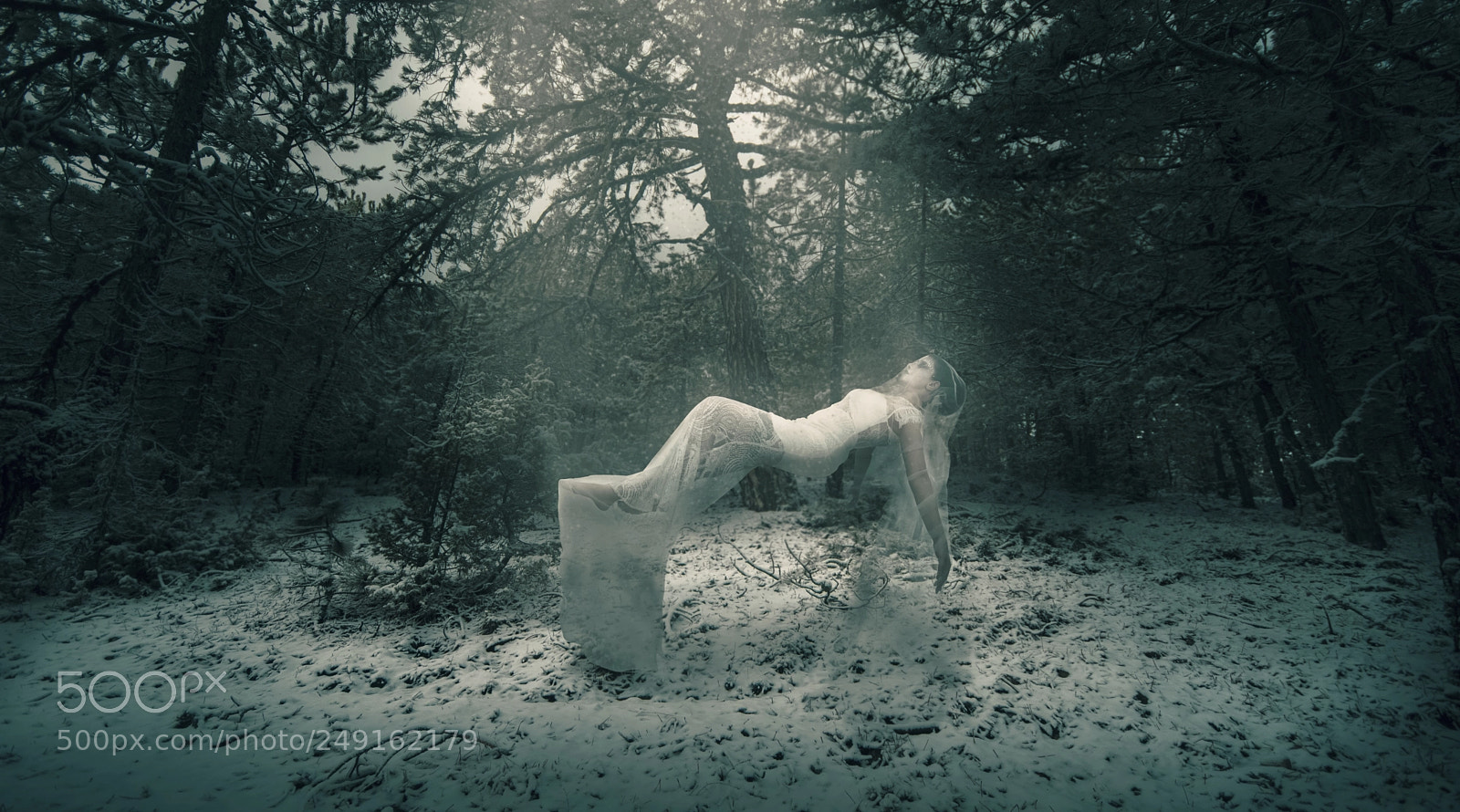 Nikon D7200 sample photo. Sleep under the snow photography