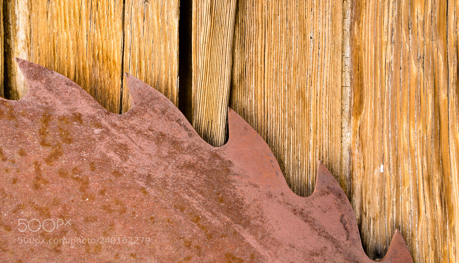 Sony a7 sample photo. Rusty sawblade against wood photography