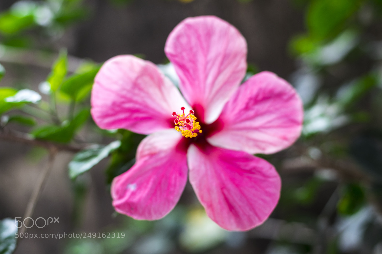 Nikon D3300 sample photo. Untitled photography