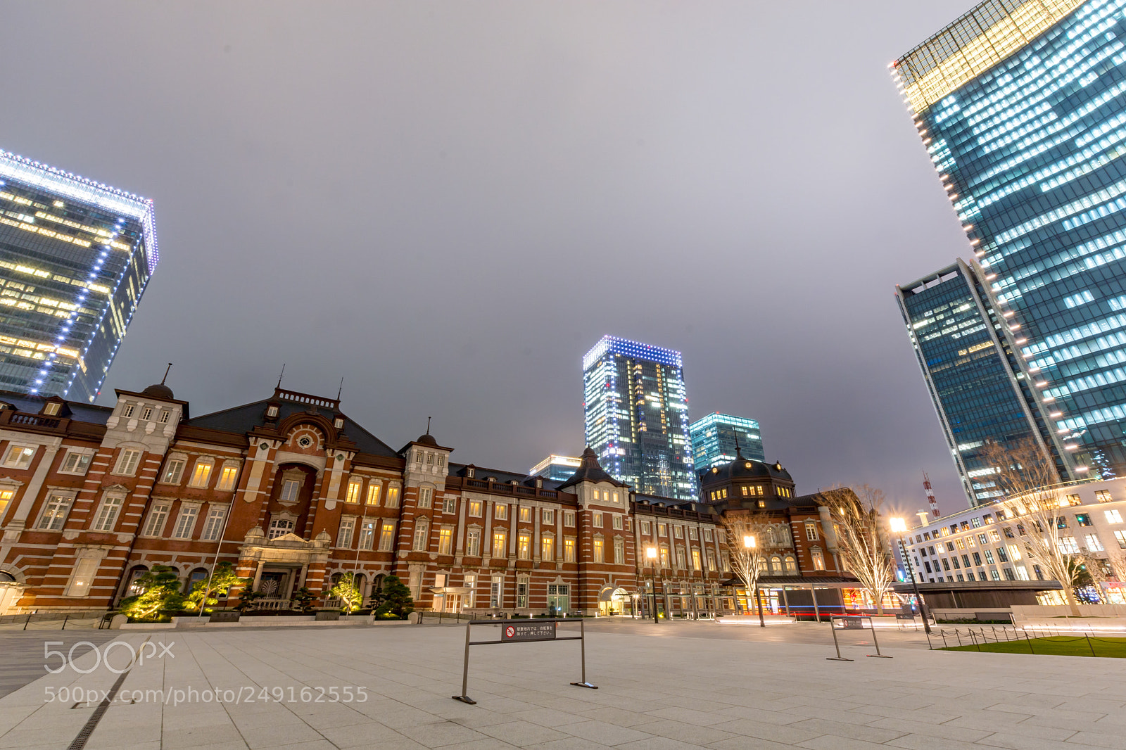 Nikon D7200 sample photo. Tokyo station photography