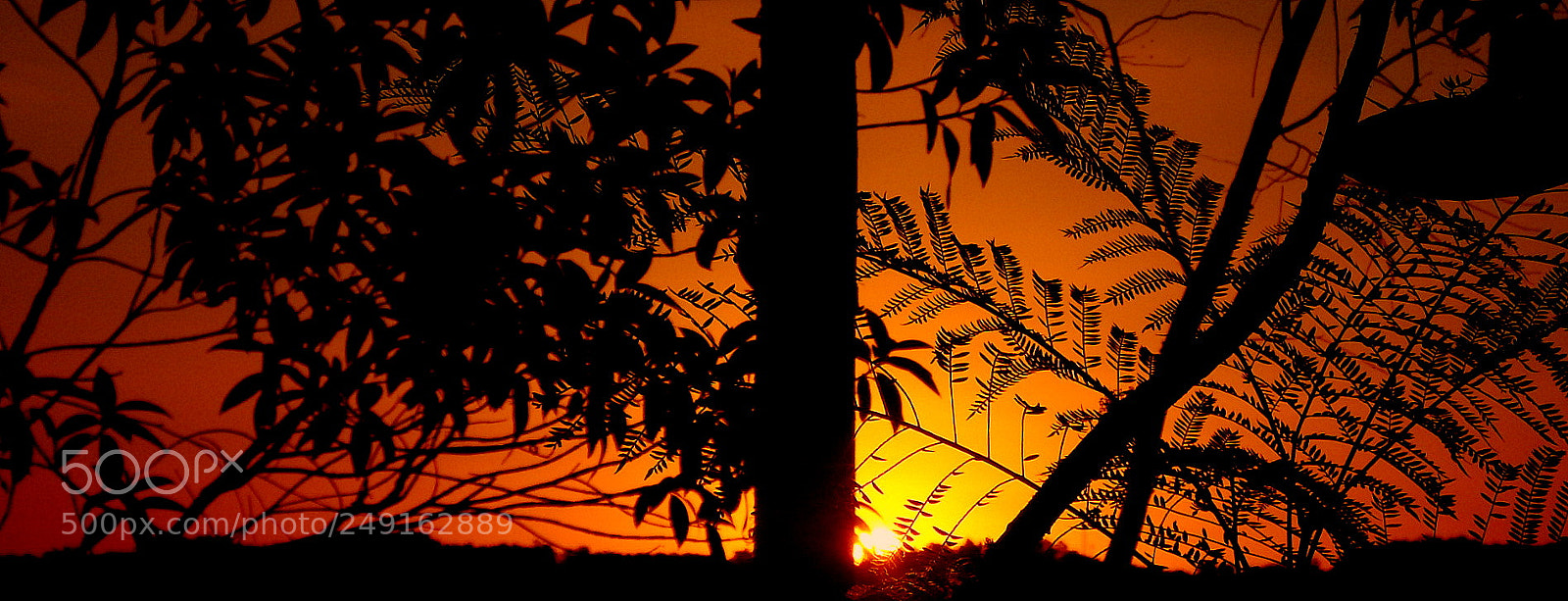Fujifilm FinePix SL1000 sample photo. Big sunset .... photography