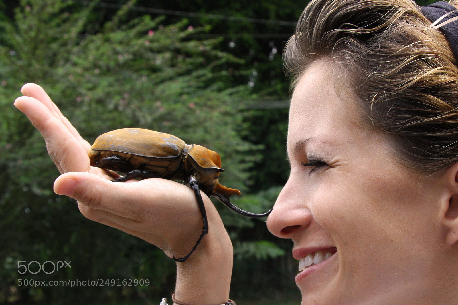 Canon EOS 40D sample photo. Megaasoma elephas elephas photography