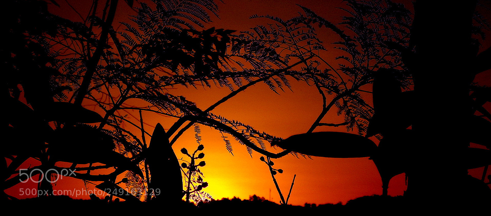 Fujifilm FinePix SL1000 sample photo. Last colors .... photography