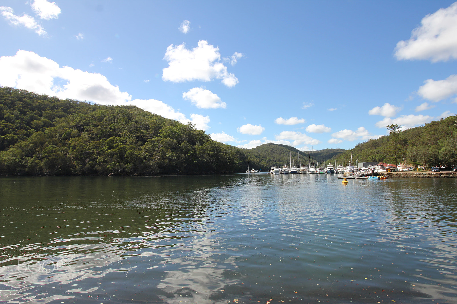 Canon EOS 550D (EOS Rebel T2i / EOS Kiss X4) sample photo. Bobbin head photography