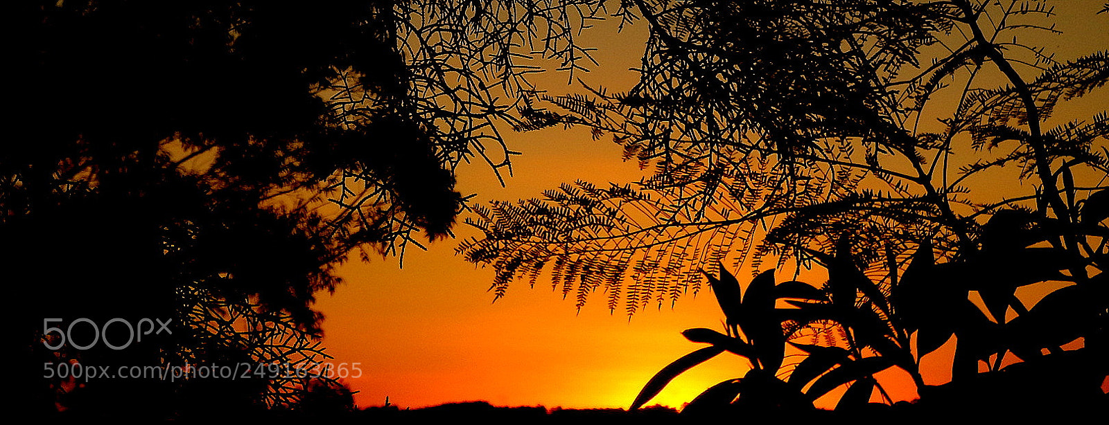 Fujifilm FinePix SL1000 sample photo. One picture .... photography
