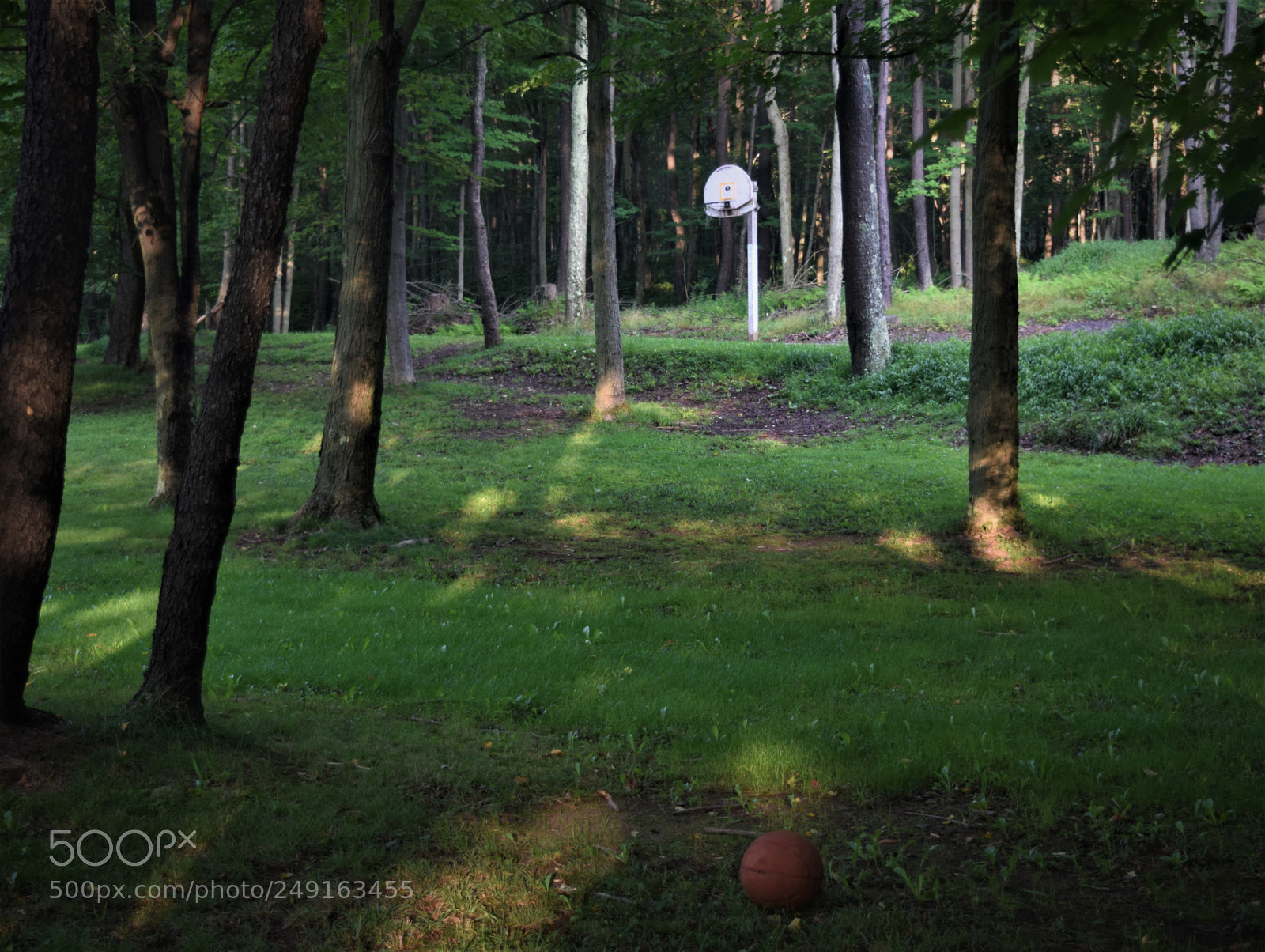 Nikon D3300 sample photo. Potential photography