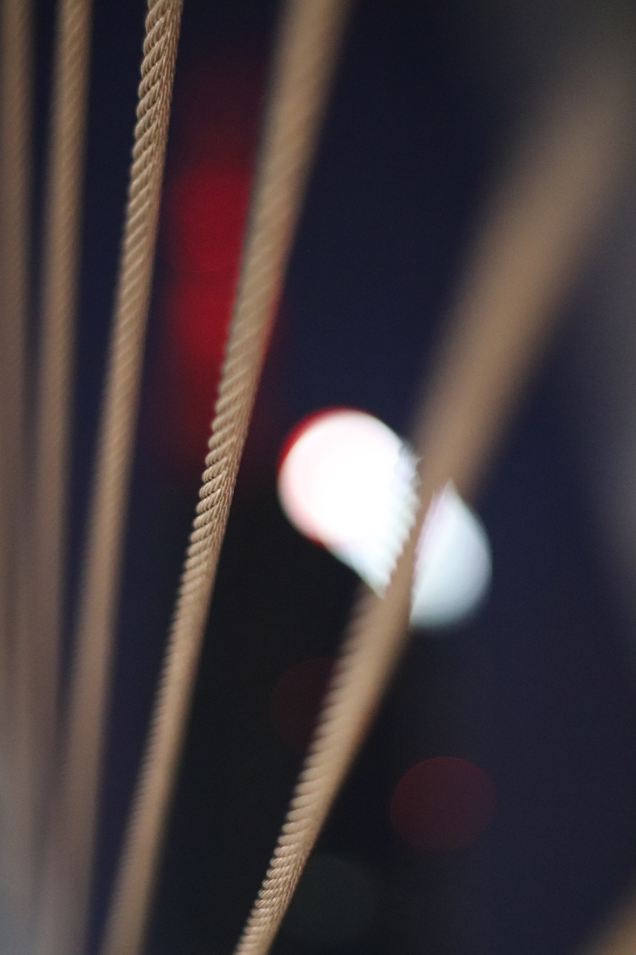 Canon 50mm sample photo
