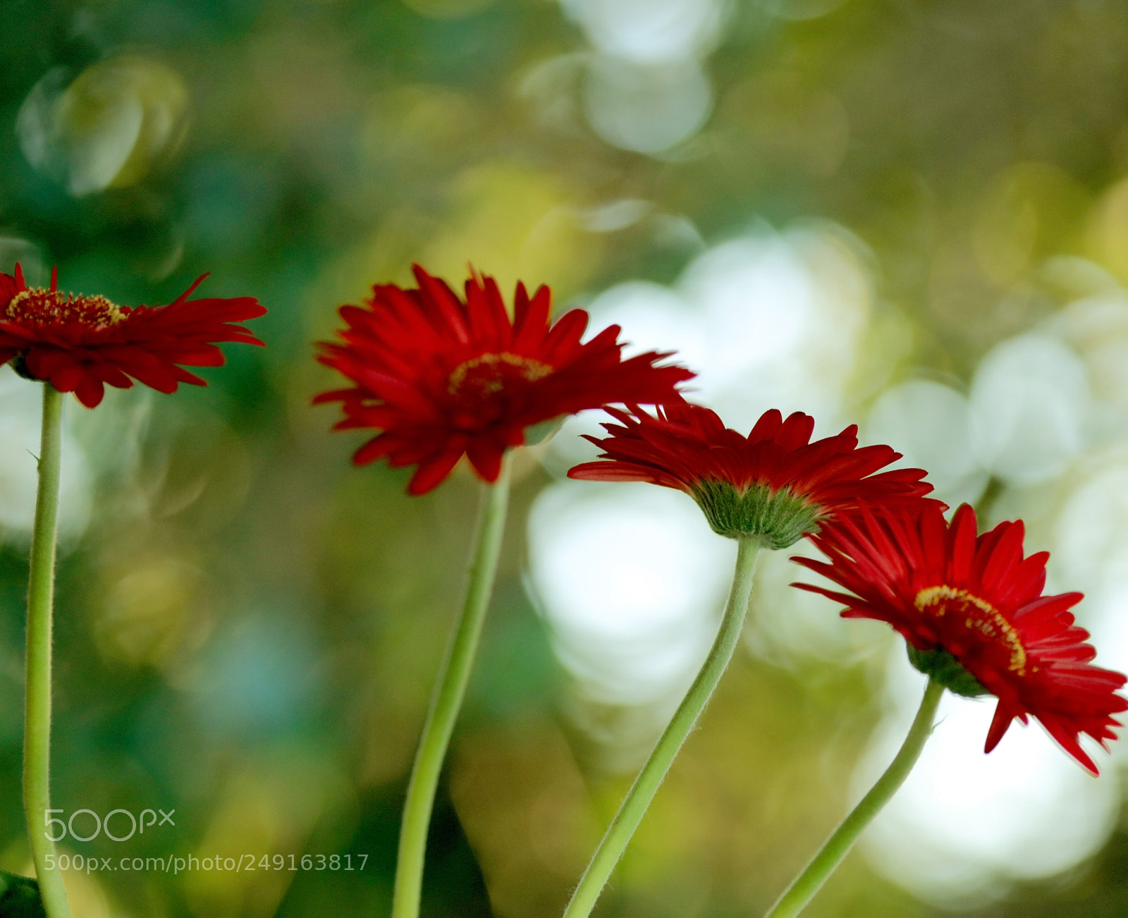 Canon EOS 5DS sample photo. Nature is lovely! photography