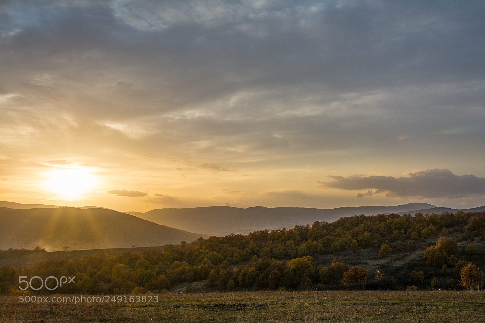 Nikon D7100 sample photo. Pchelina photography