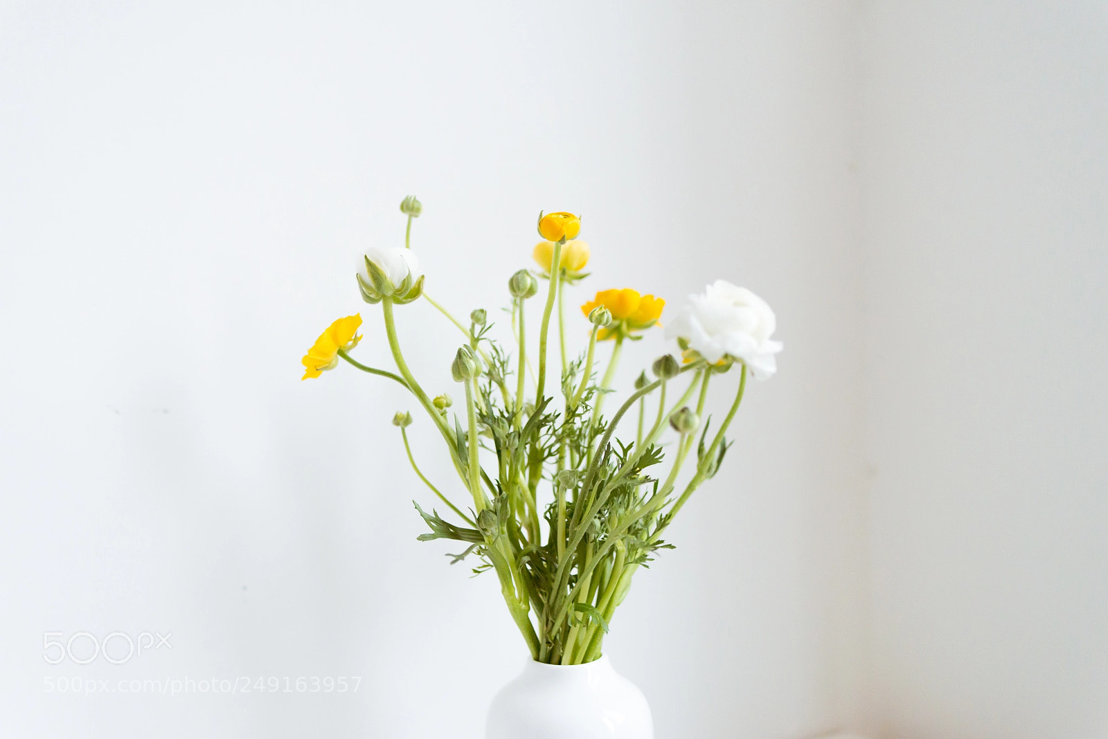 Nikon D610 sample photo. April florist photography