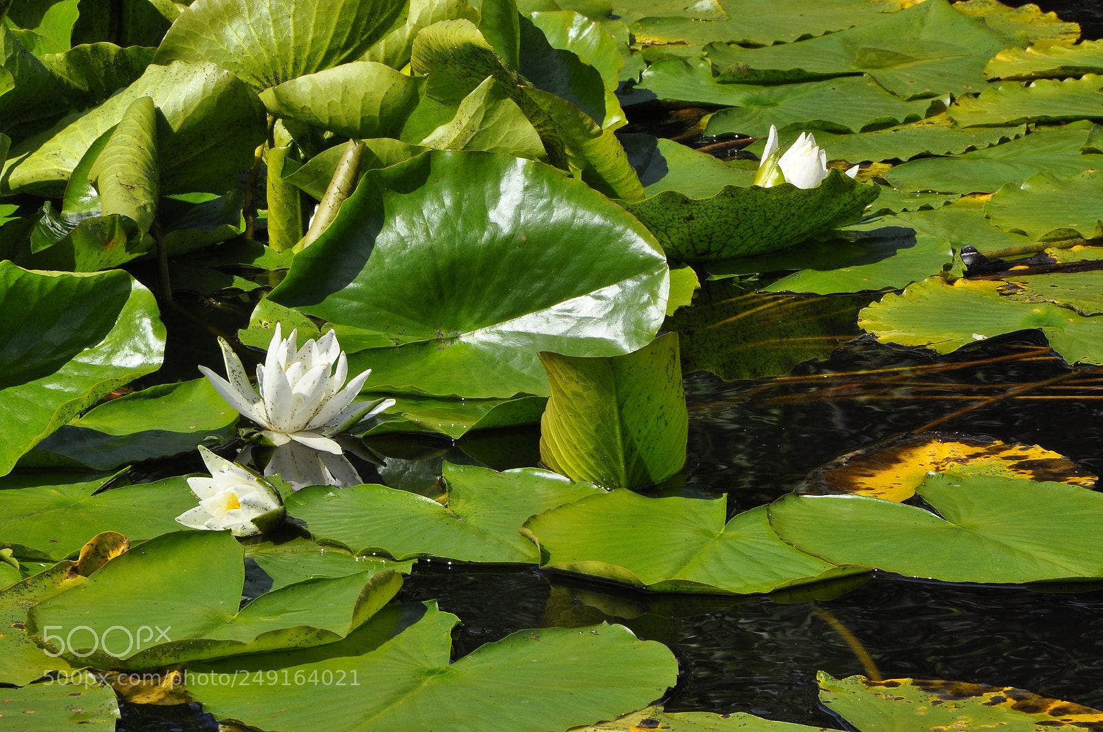 Nikon D90 sample photo. Berlin, germany. photography