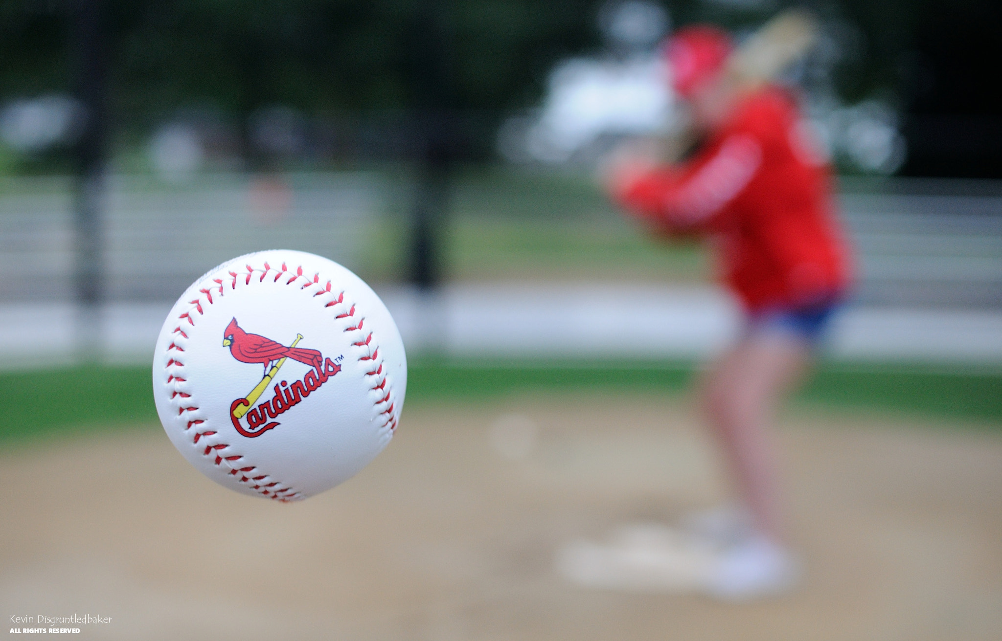 Nikon D90 sample photo. Cardinals baseball photography