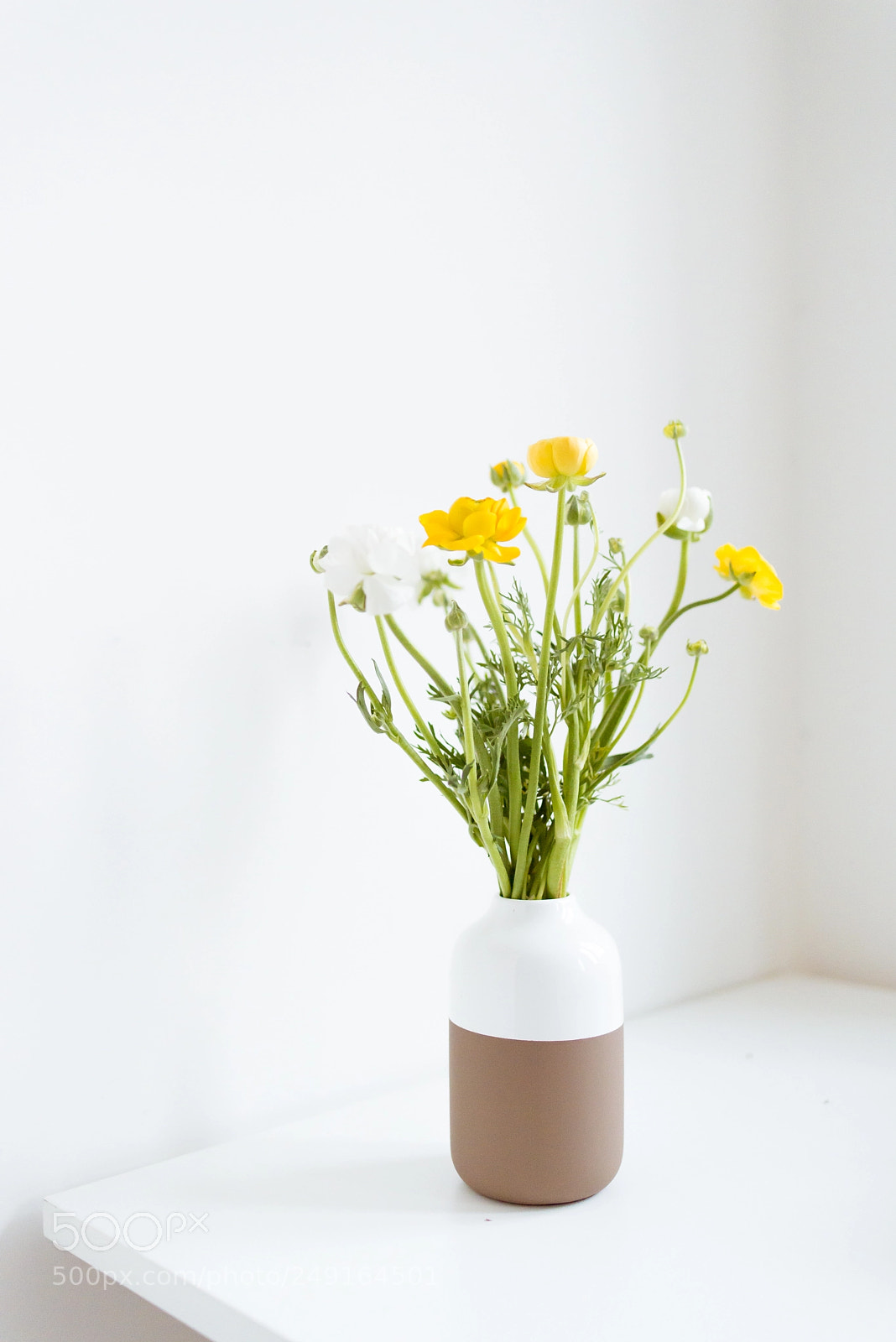 Nikon D610 sample photo. April florist photography