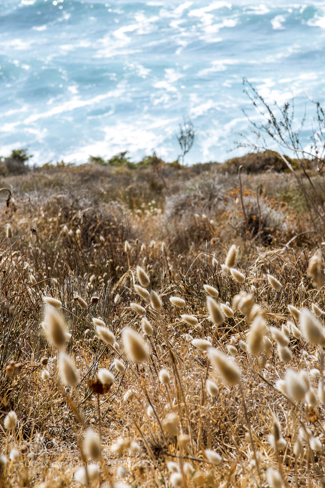 Canon PowerShot G1 X Mark II sample photo. Sardegna, capitolo iv photography
