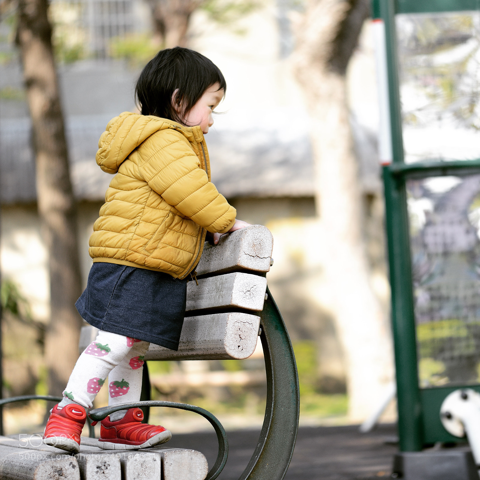 Nikon D800 sample photo. Untitled photography