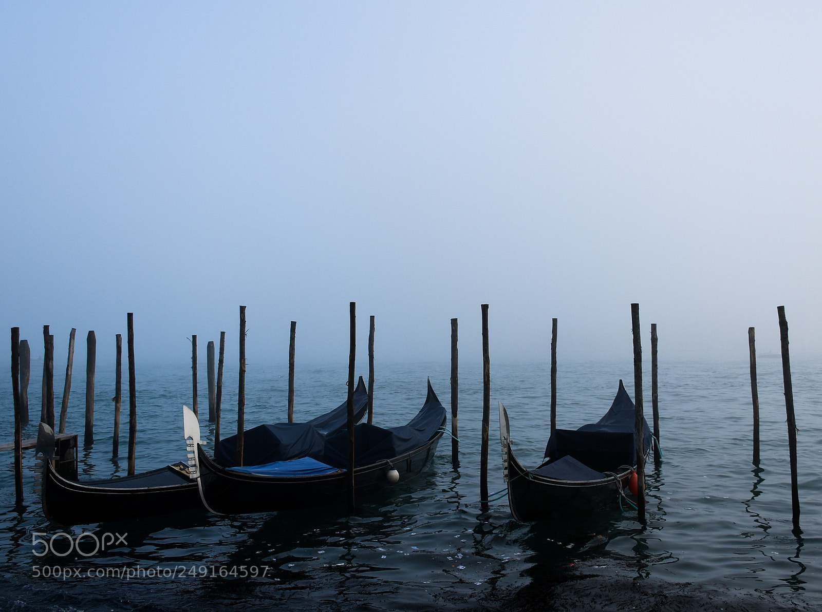 Nikon D5500 sample photo. Venice photography