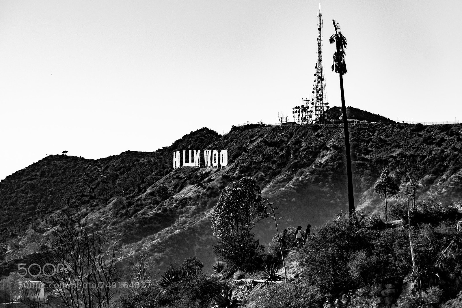 Panasonic Lumix DMC-GX7 sample photo. Hollywood photography
