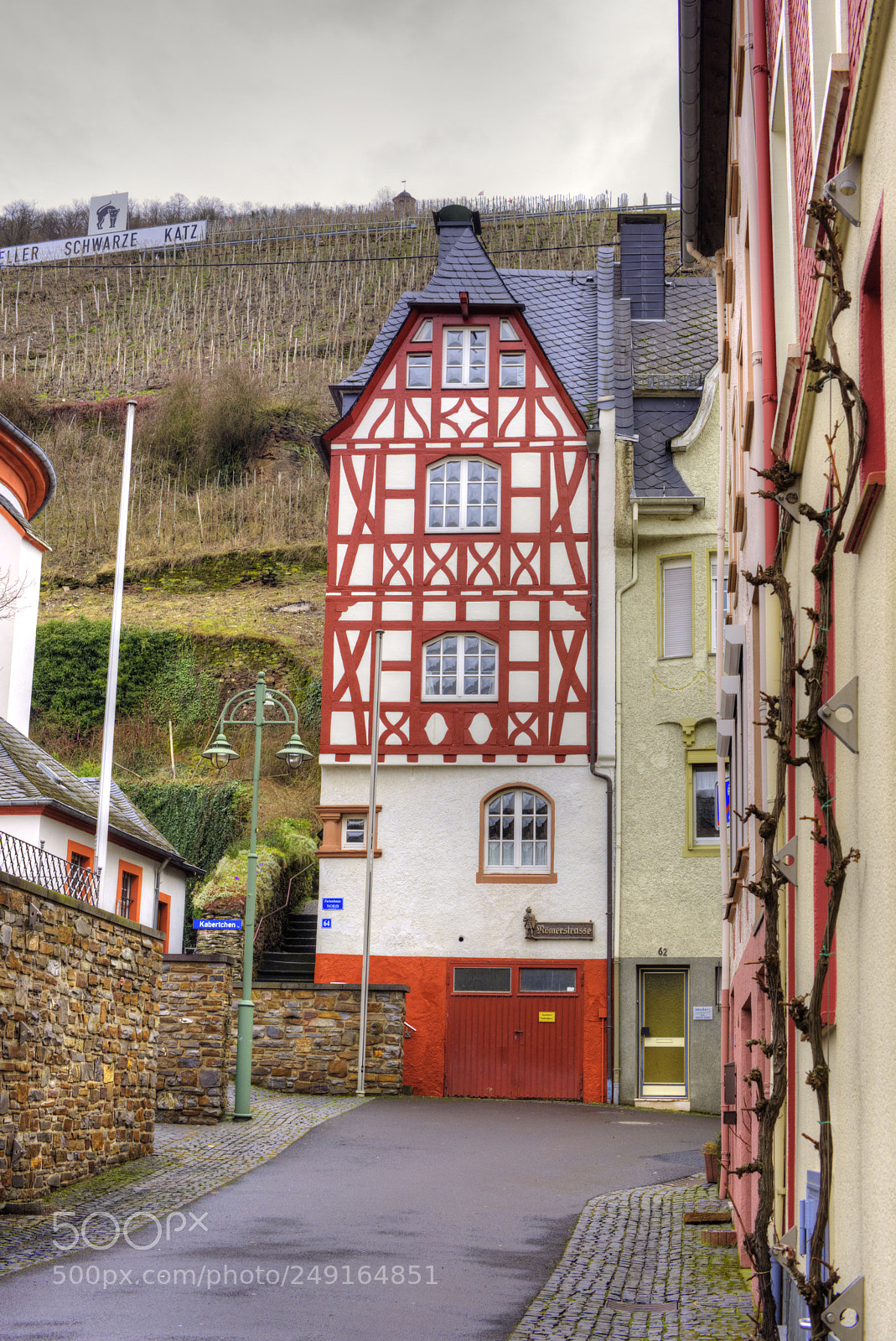 Nikon D810 sample photo. German wine country photography