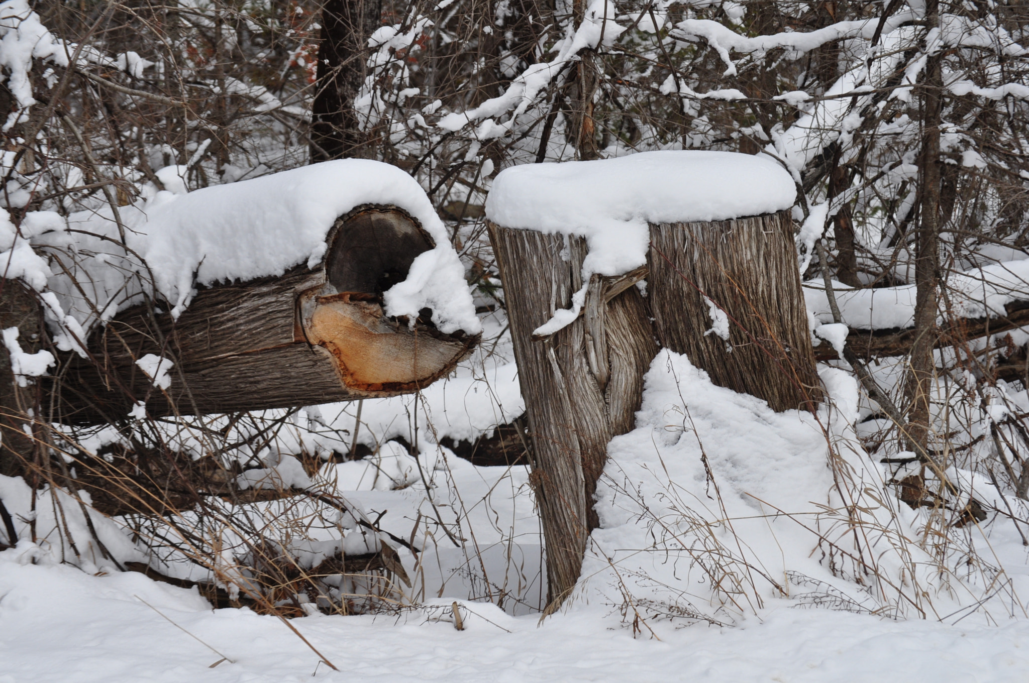 Nikon D5000 sample photo. The broken photography