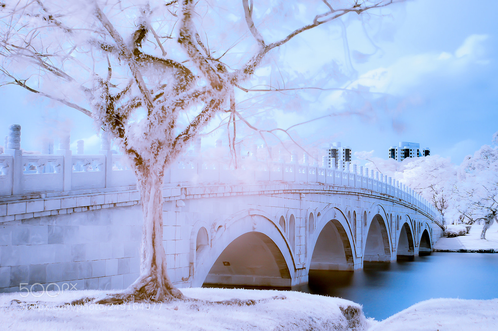Nikon D3200 sample photo. Infrared photo of tree photography