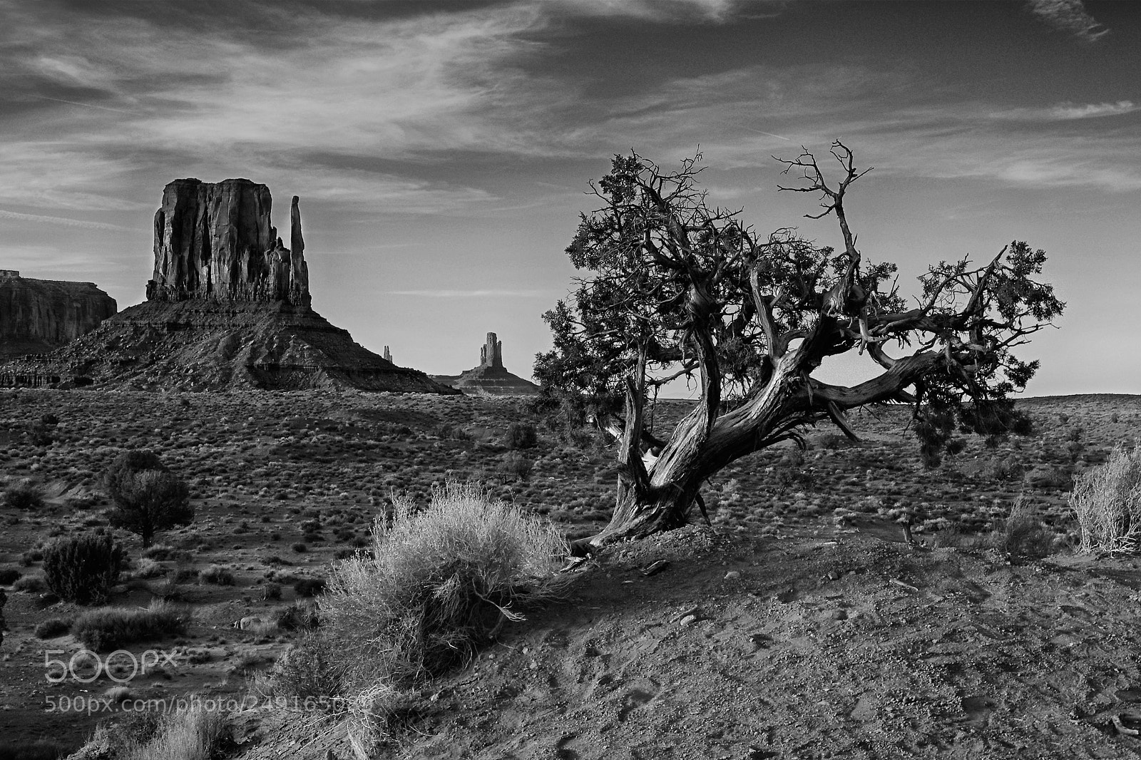 Pentax K-5 sample photo. The struggle photography