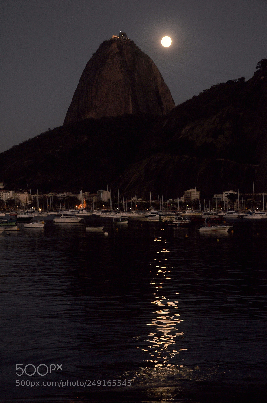 Nikon D90 sample photo. Untitled photography