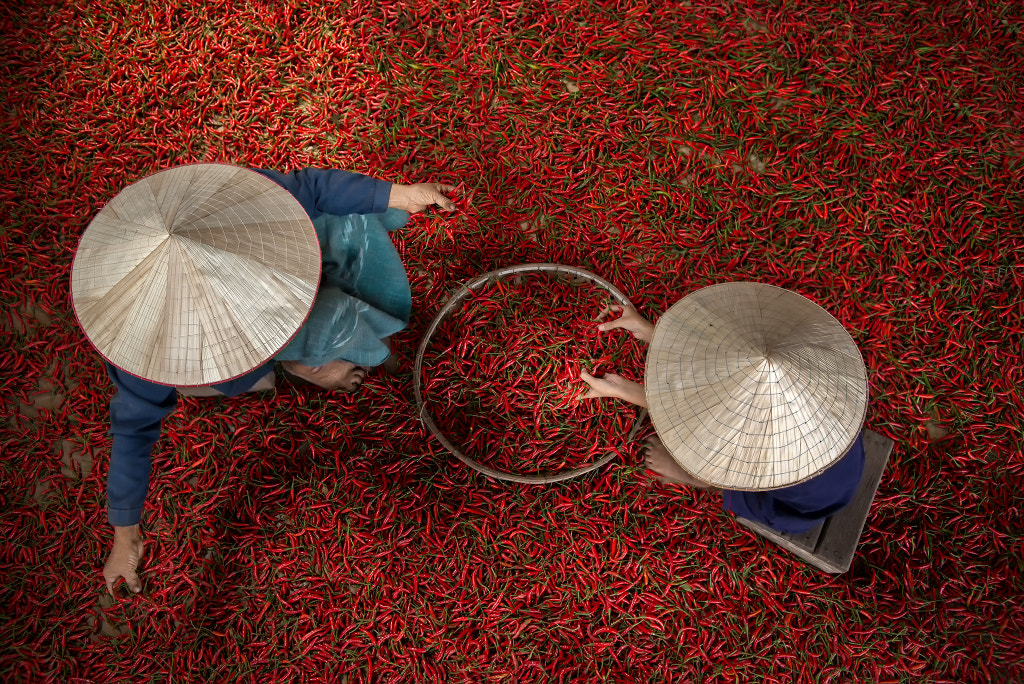 Chilli by Sarawut Intarob on 500px.com