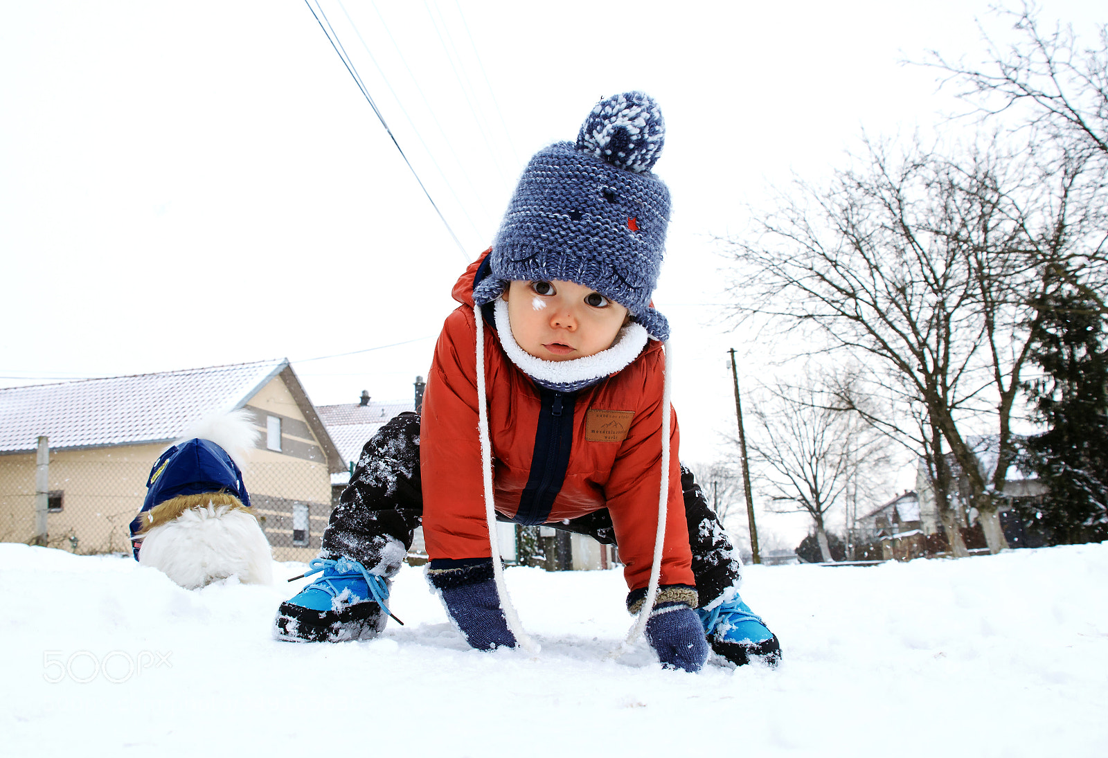 Canon EOS 600D (Rebel EOS T3i / EOS Kiss X5) sample photo. Winter fun photography