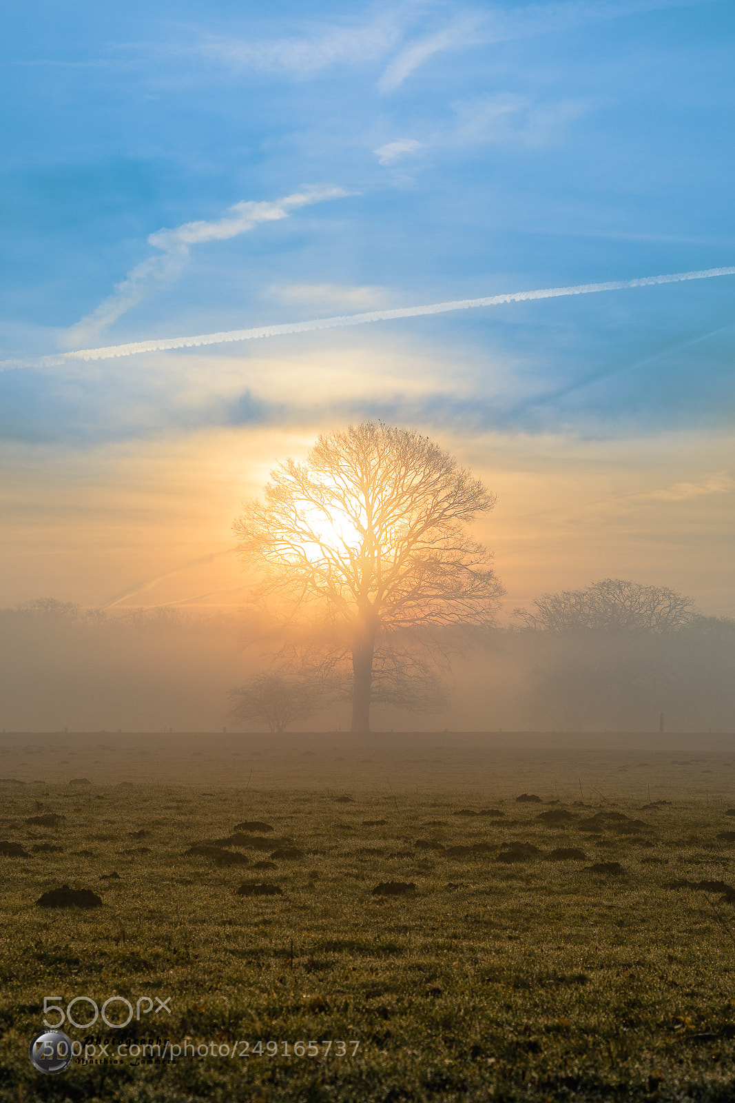 Canon EOS 5D Mark IV sample photo. Sunset in the fog photography