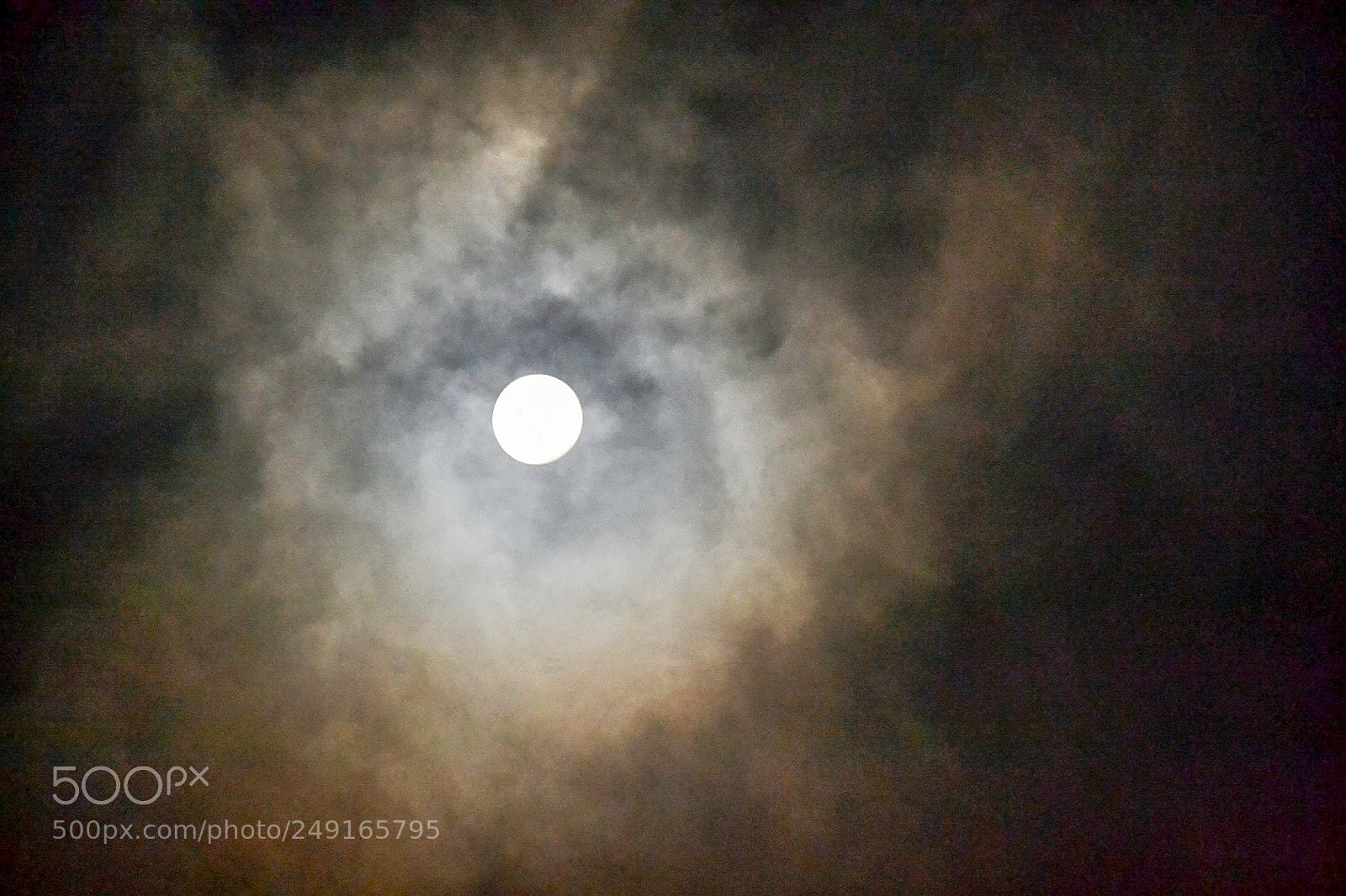 Nikon D3100 sample photo. Untitled photography
