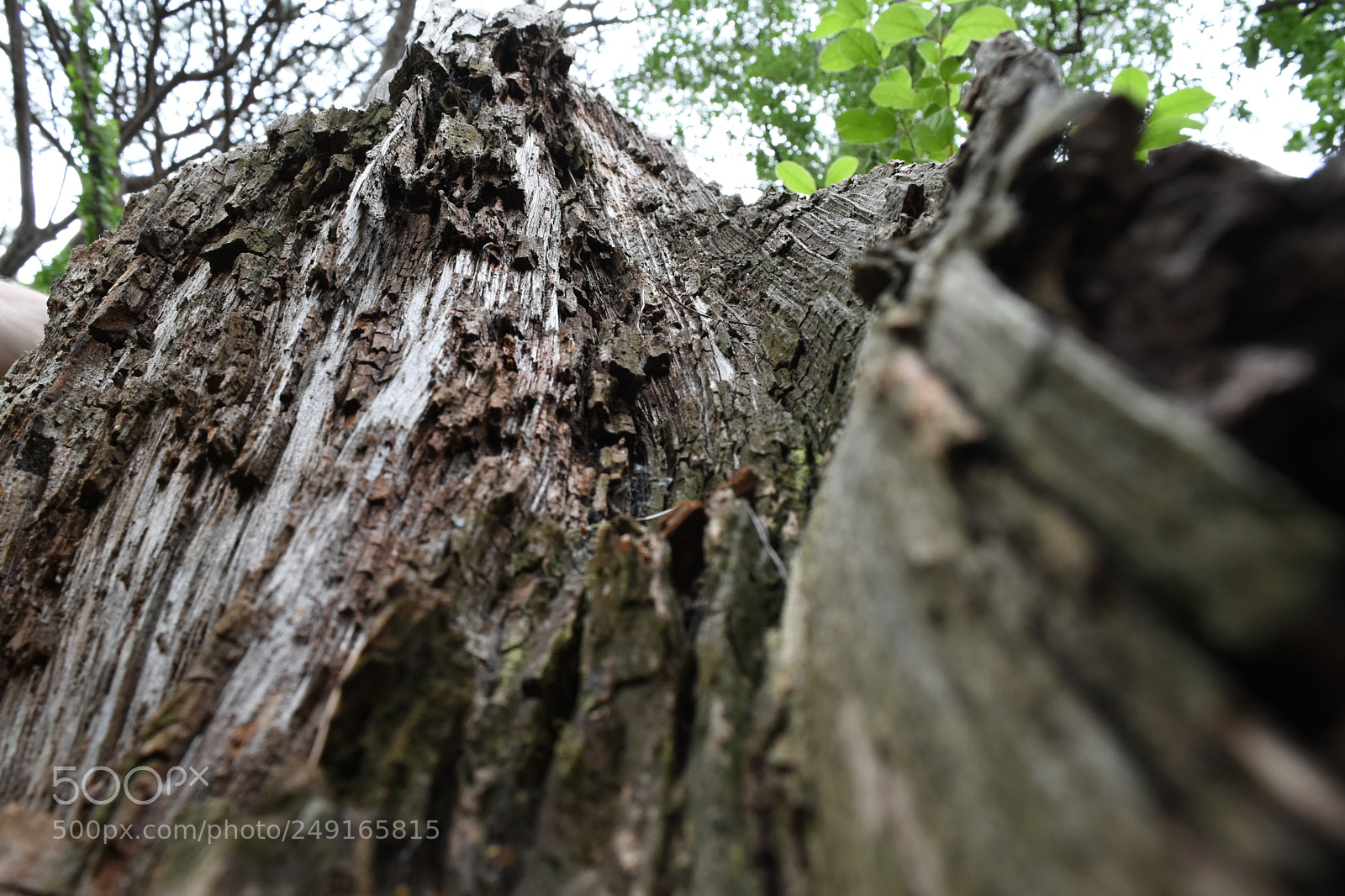 Nikon D5500 sample photo. Untitled photography