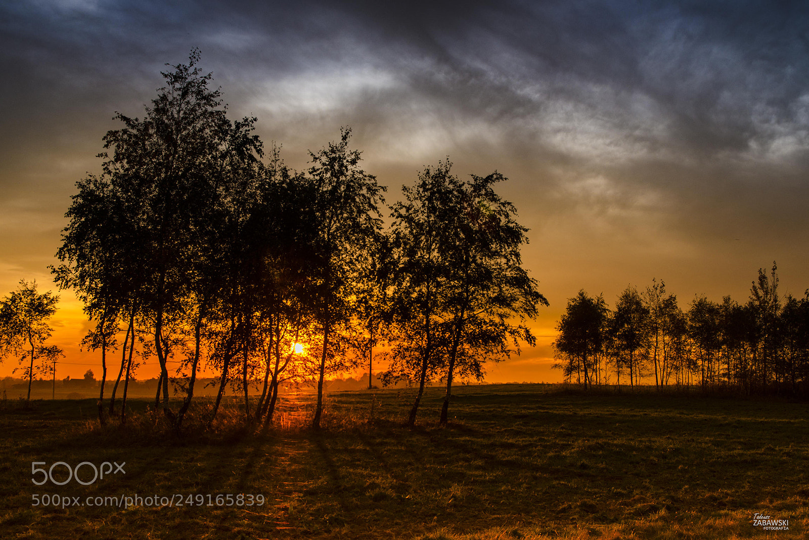 Nikon D7000 sample photo. Orange sunset photography