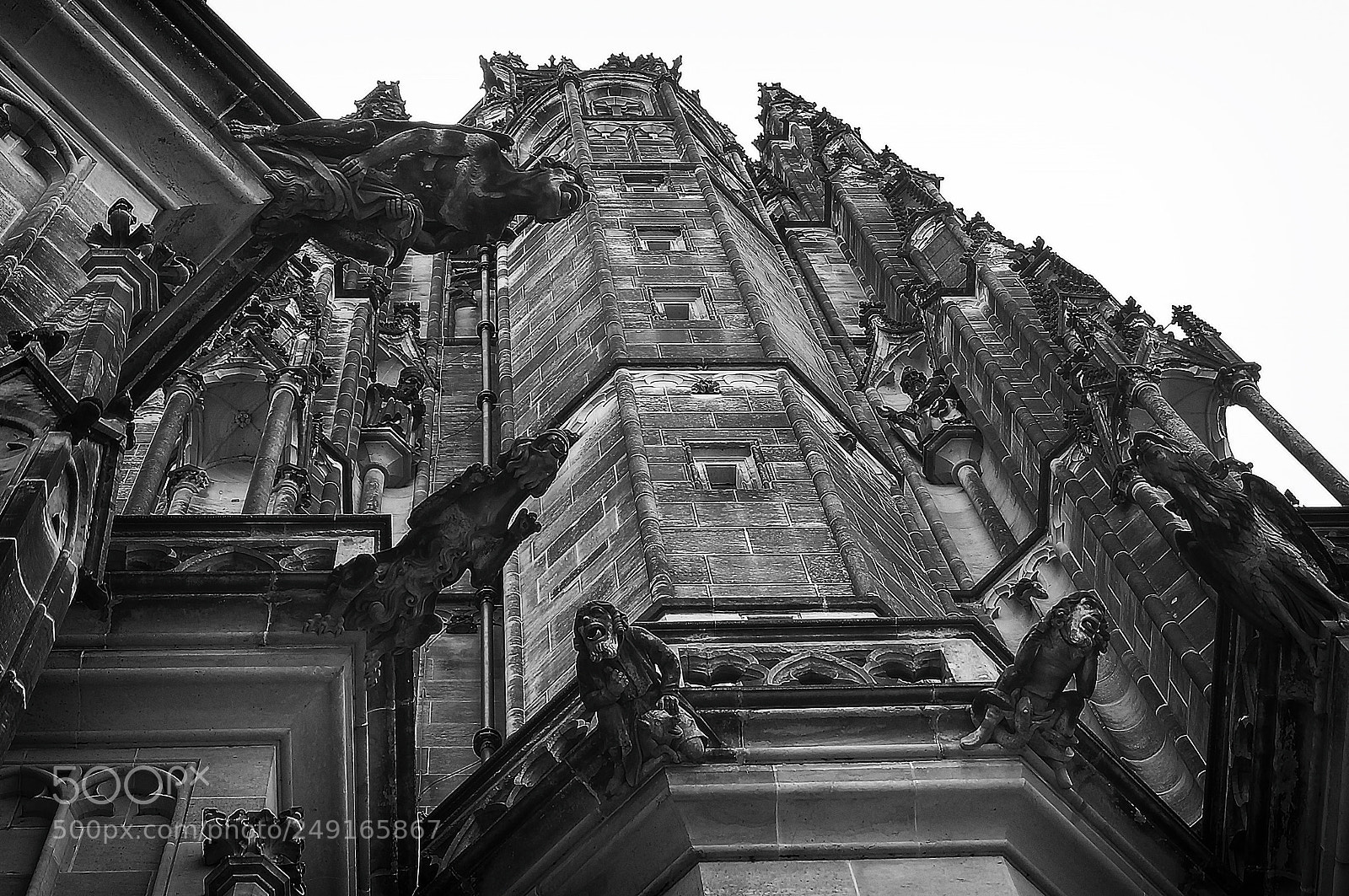 Sony SLT-A57 sample photo. Gargoyle photography
