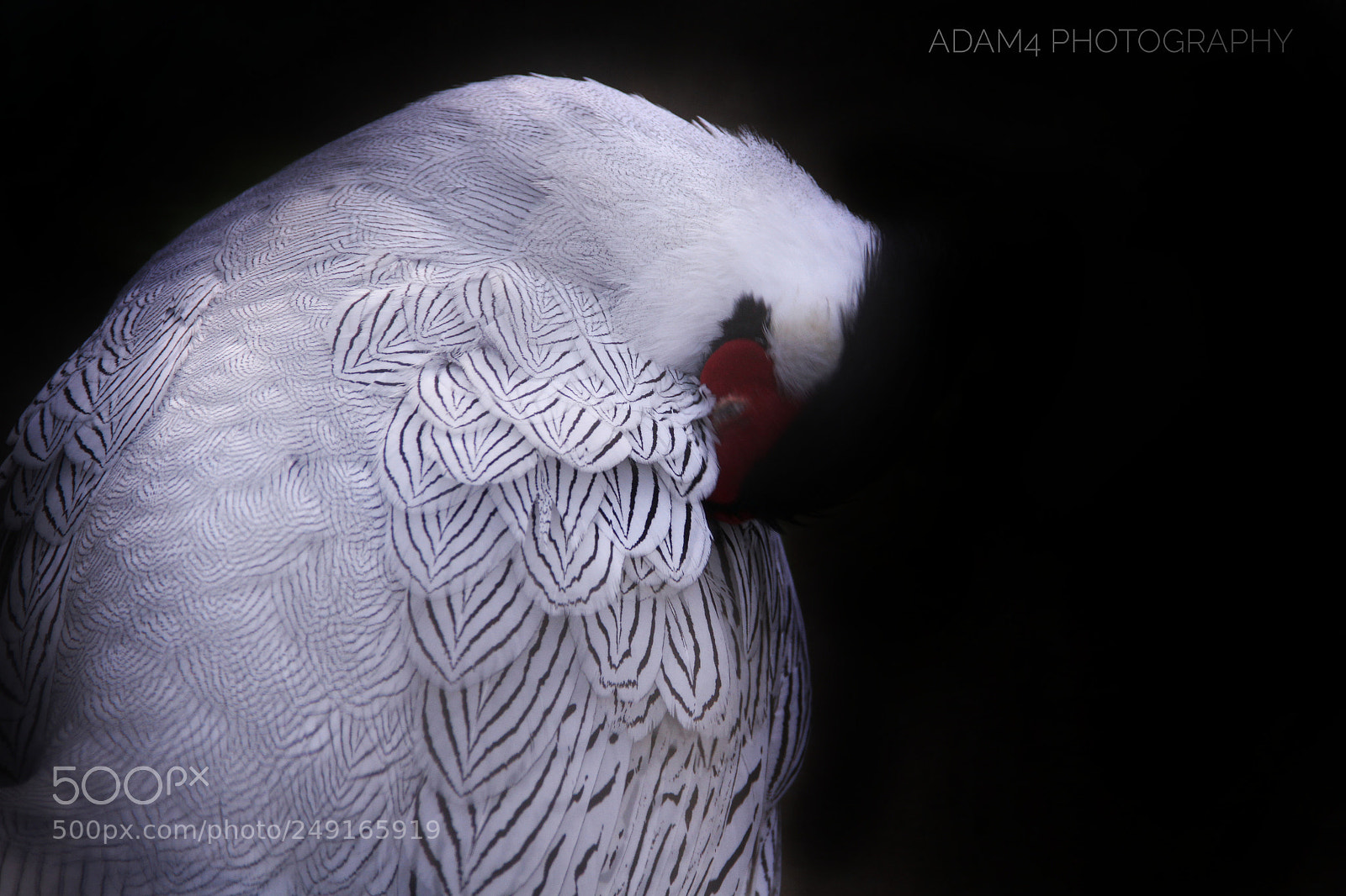Canon EOS 7D sample photo. Untitled photography