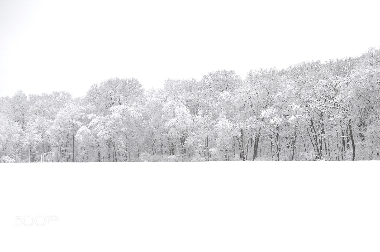 Nikon D7000 sample photo. Winter white photography