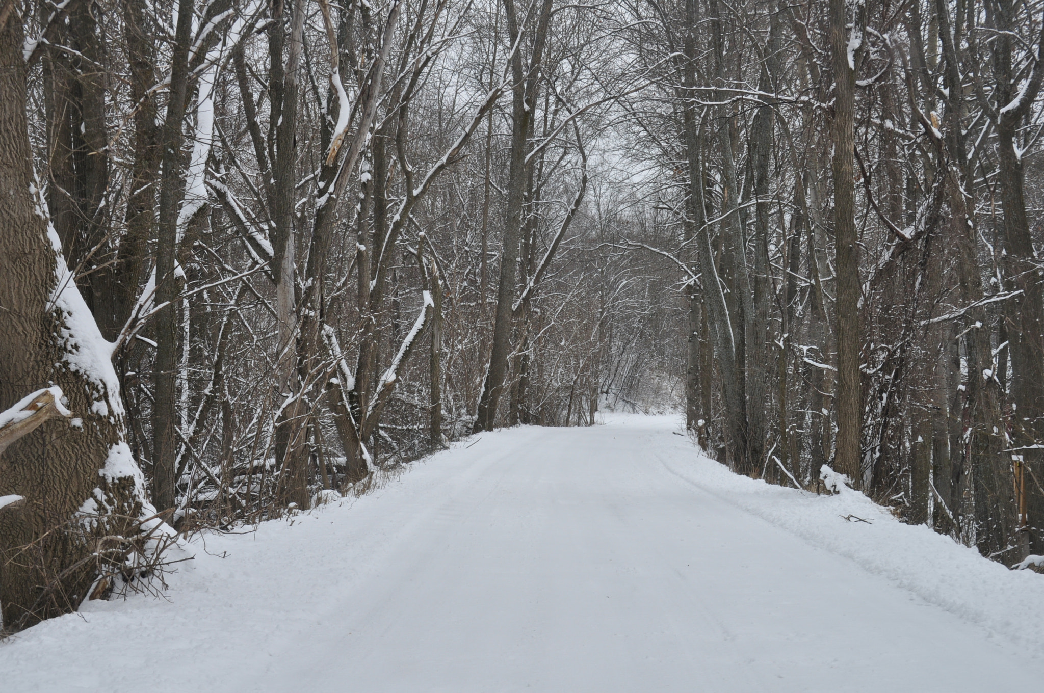 Nikon D5000 sample photo. Road to nowhere photography