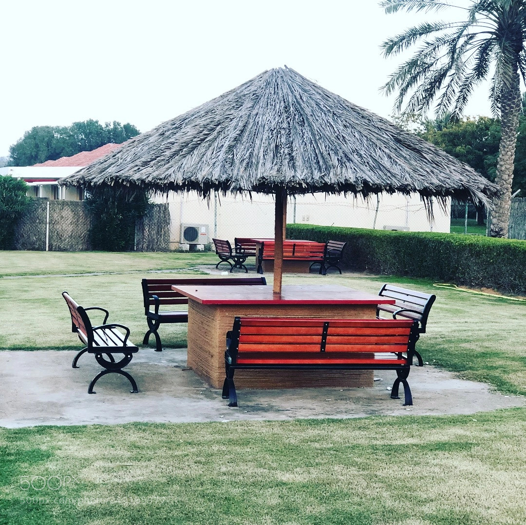 Apple iPhone 8 Plus sample photo. Barracuda beach resort wonderful photography