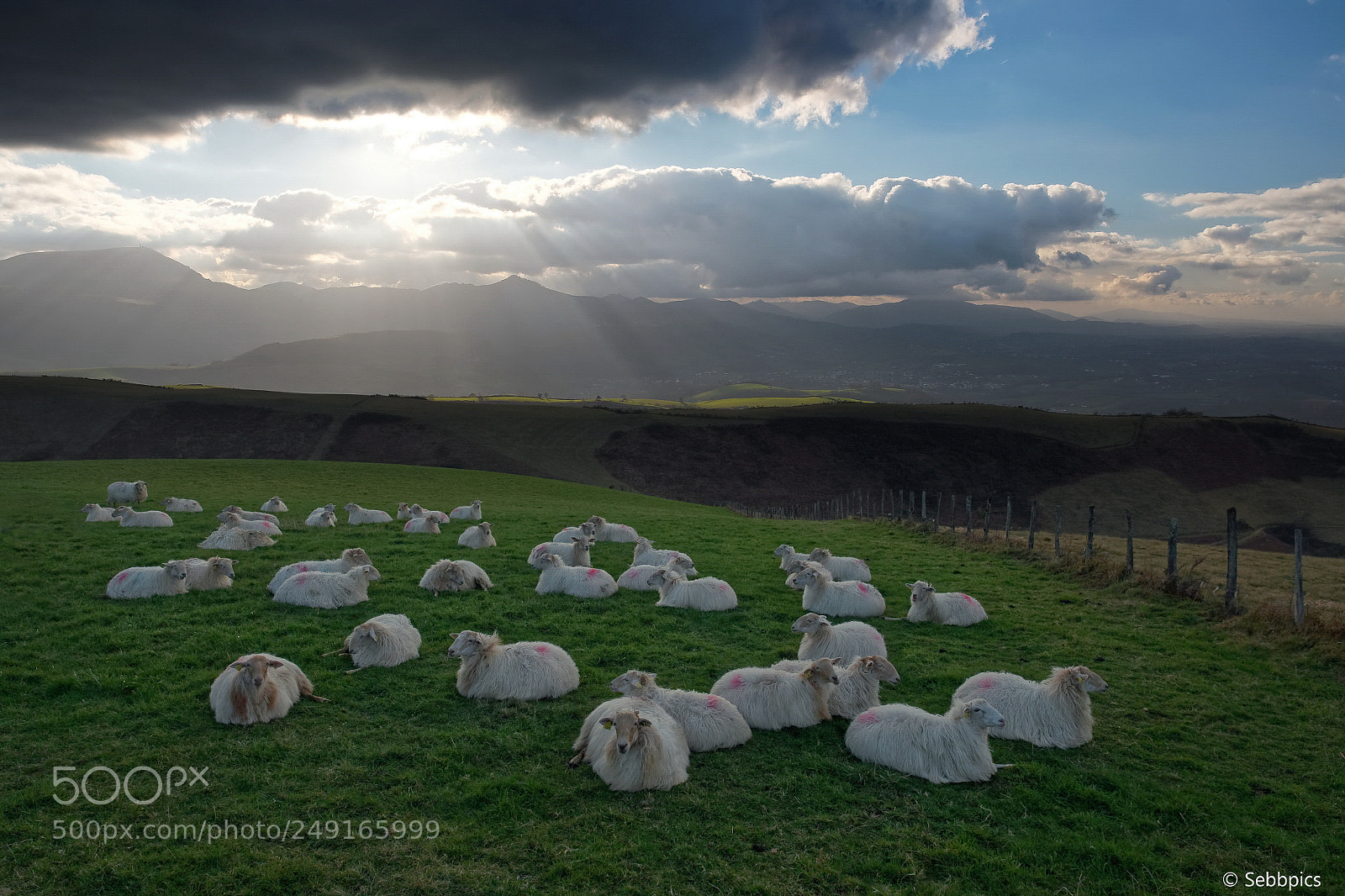 Olympus OM-D E-M5 II sample photo. Basque countryside photography