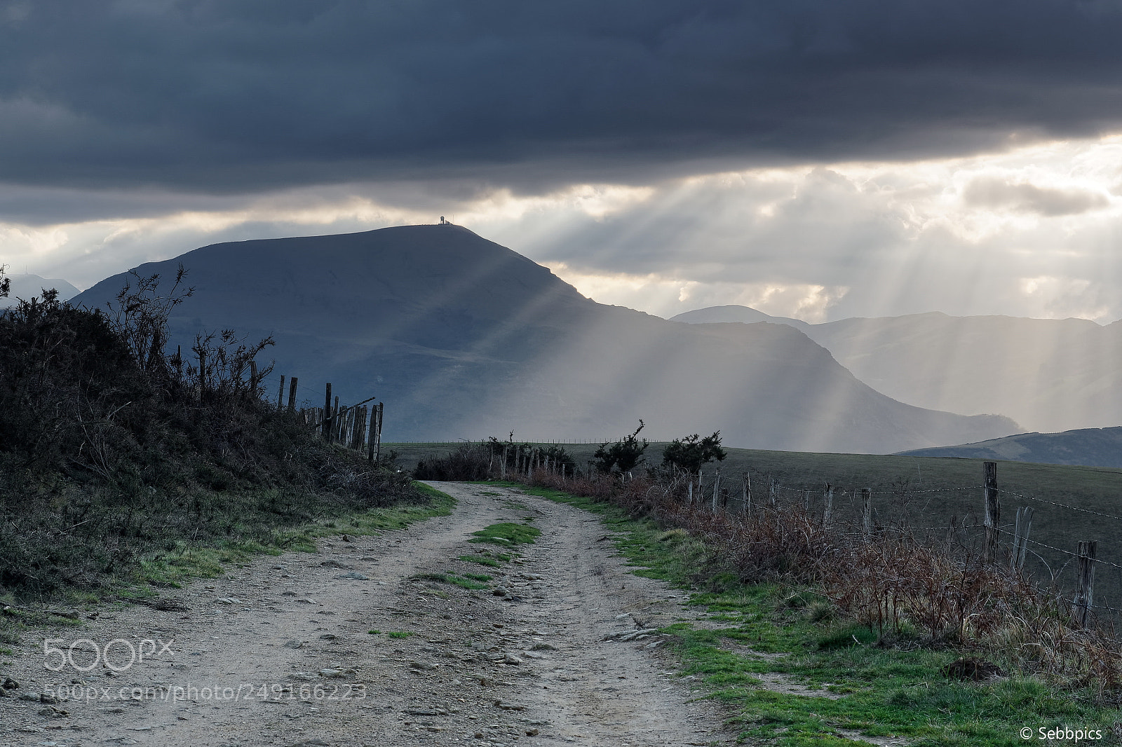 Olympus OM-D E-M5 II sample photo. Path to the light photography