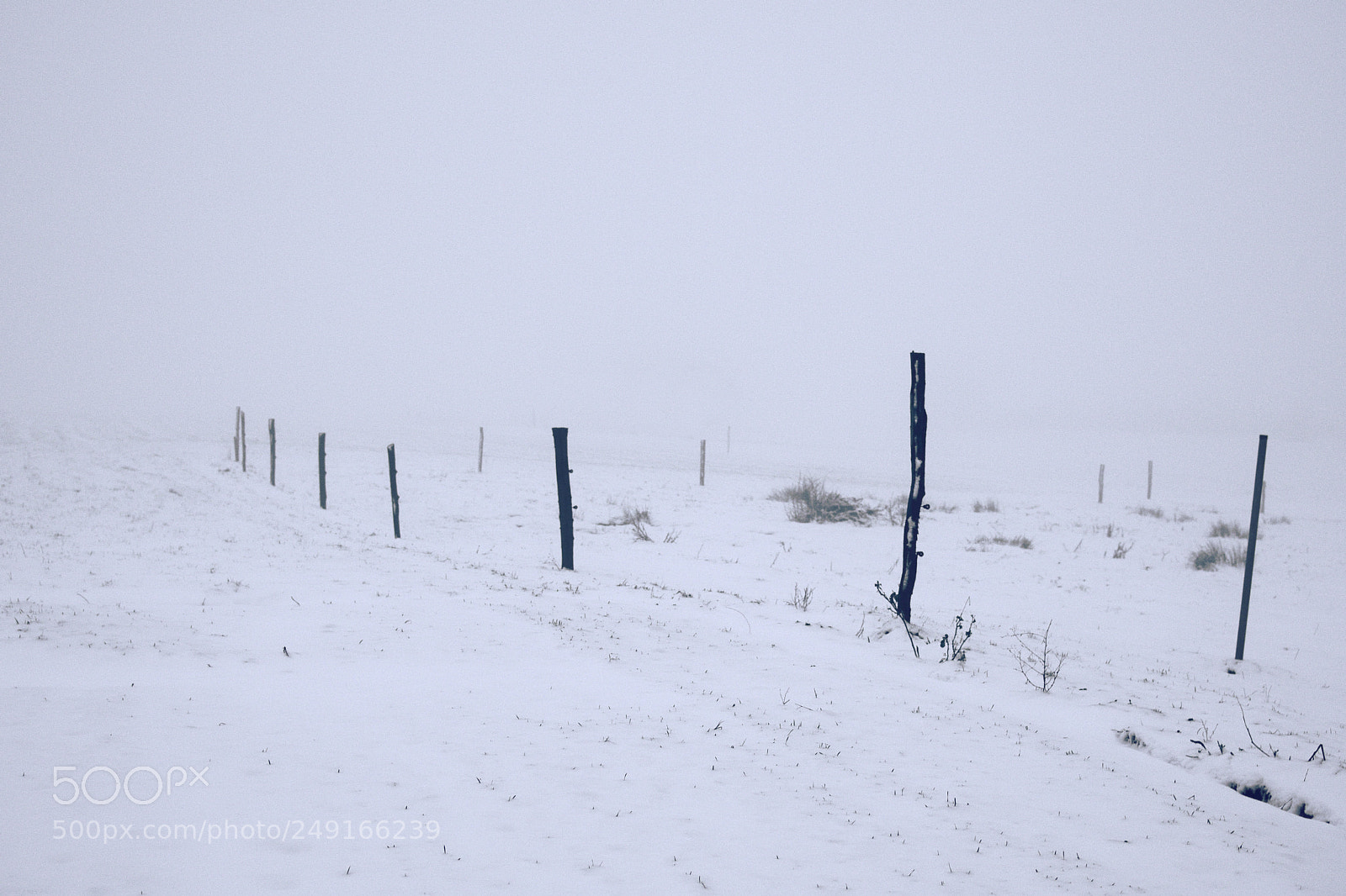 Nikon D7500 sample photo. Fence posts photography