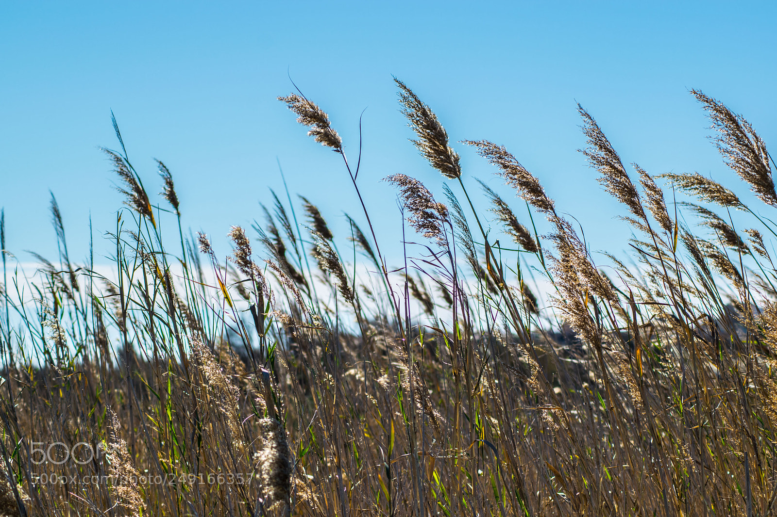 Nikon D5300 sample photo. Untitled photography