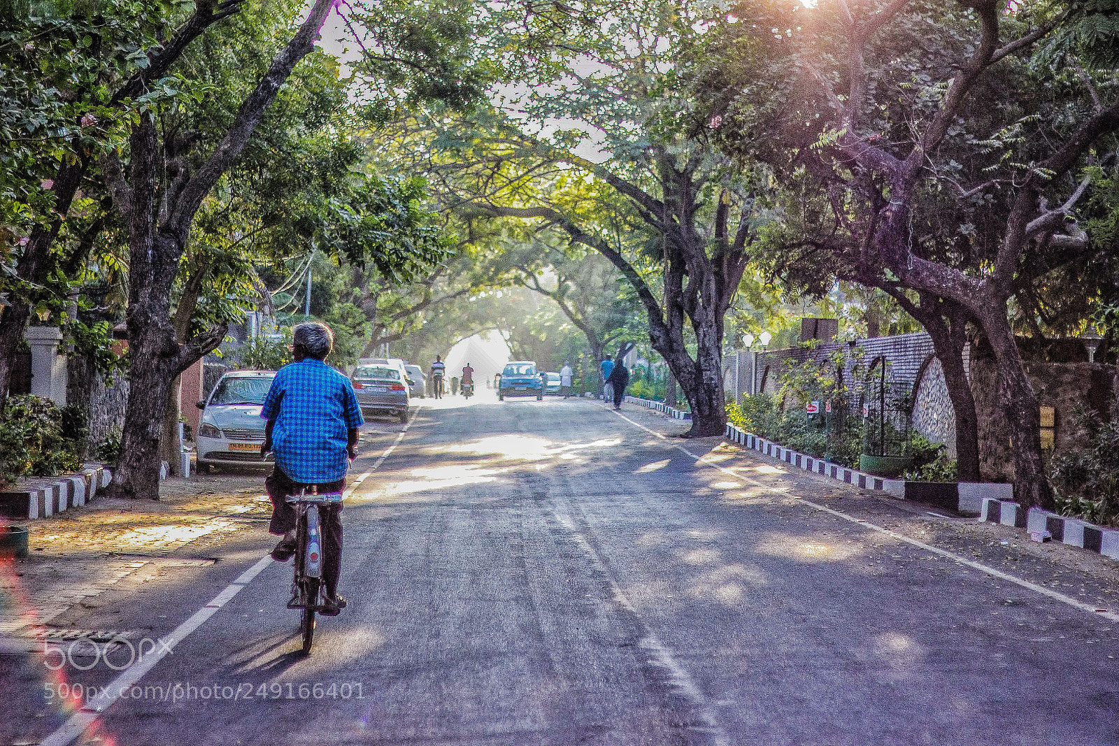Canon EOS 550D (EOS Rebel T2i / EOS Kiss X4) sample photo. Morning scenes.. photography