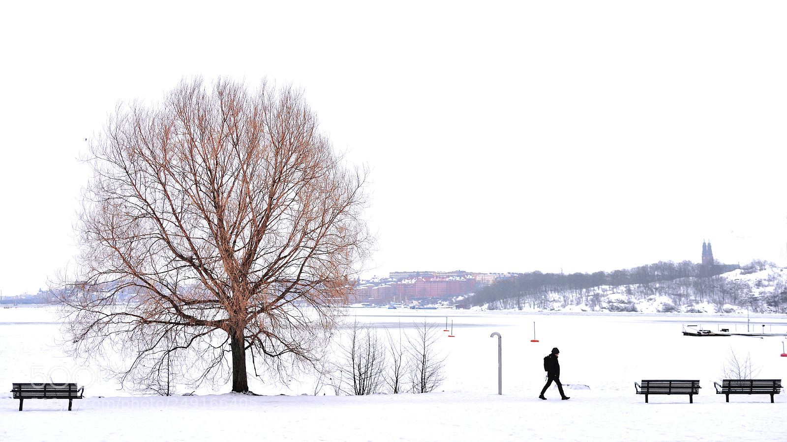 Nikon D810 sample photo. Silence photography