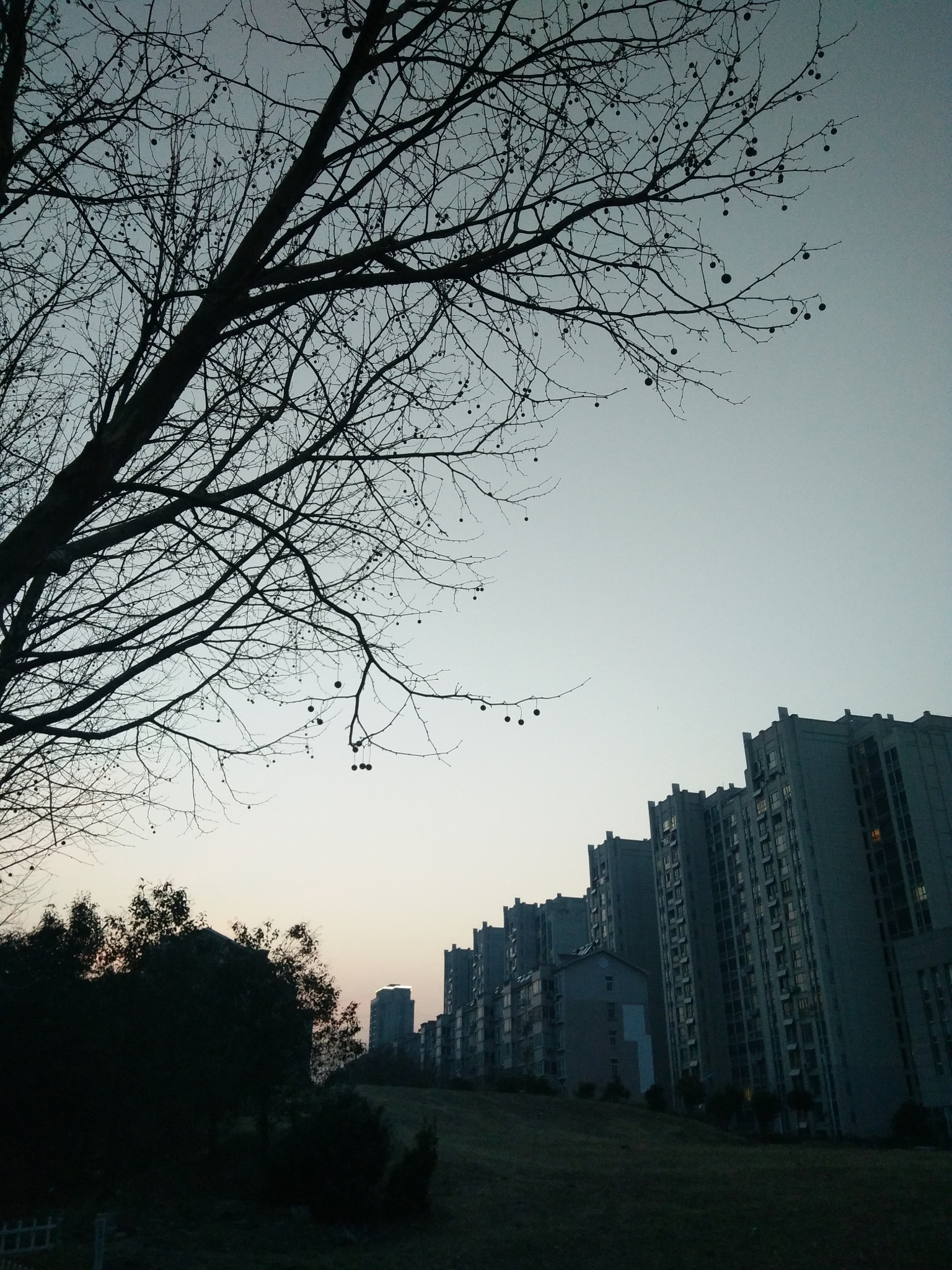vivo X7 sample photo
